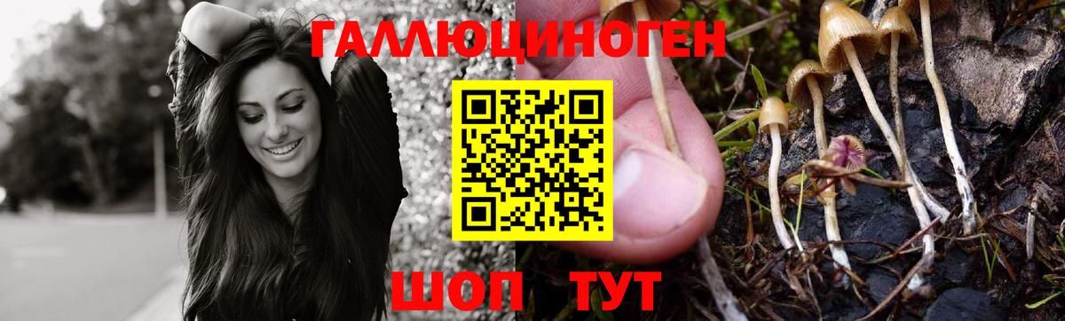 Псилоцибиновые грибы Cubensis  Вход с VPN  Псилоцибиновые грибы Psilocybe  Борисоглебск 